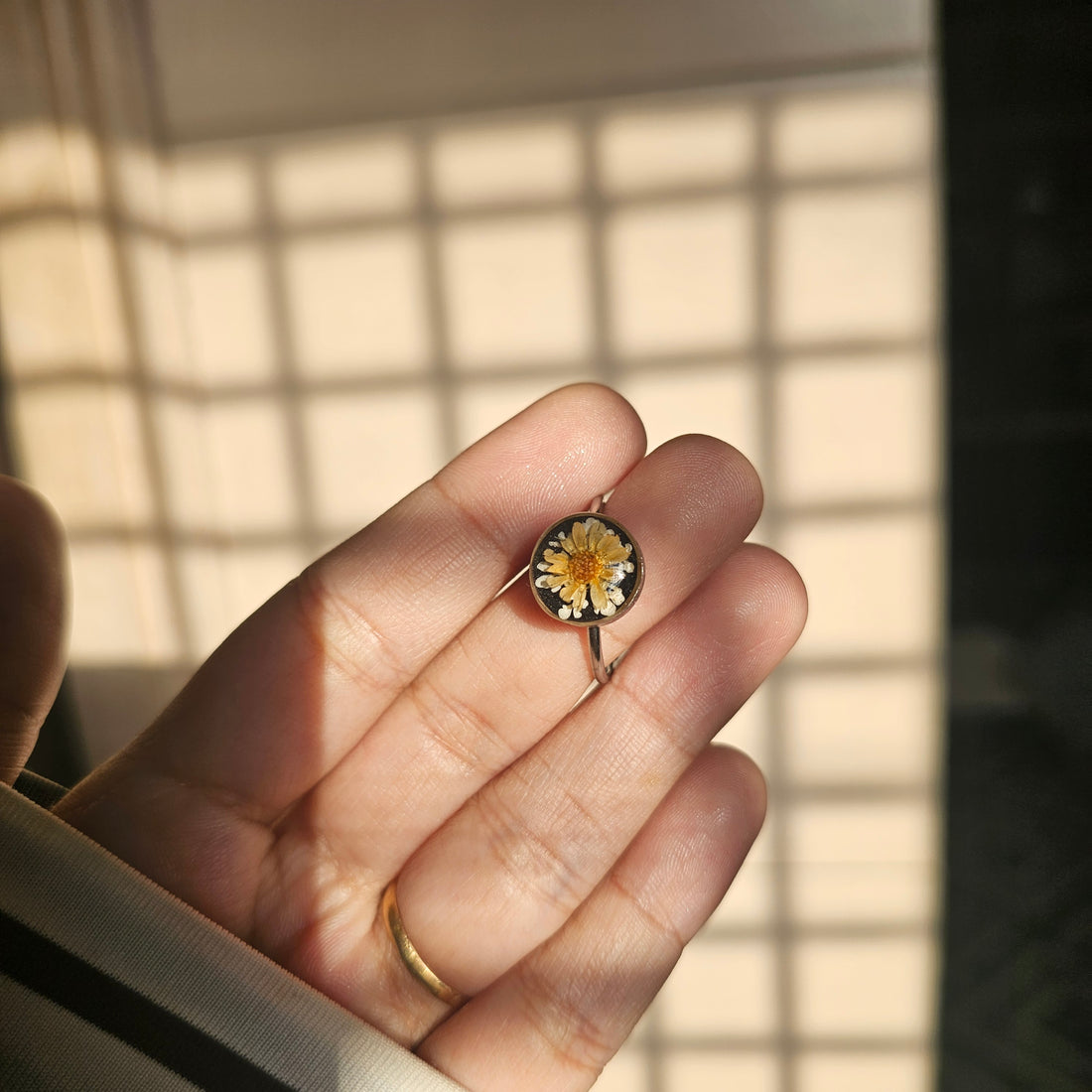Golden Meadow